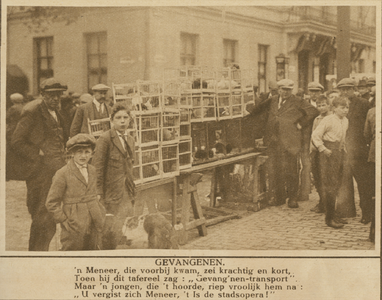 870559 Afbeelding van een kraam met vogelkooitjes op de vogeltjesmarkt op de Mariaplaats te Utrecht